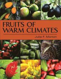bokomslag Fruits of Warm Climates