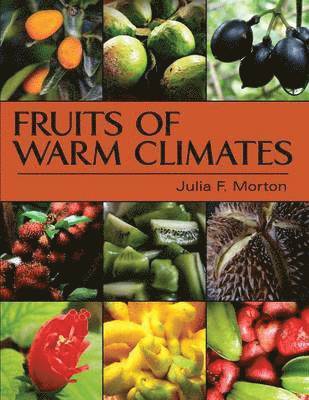 bokomslag Fruits of Warm Climates