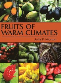 bokomslag Fruits of Warm Climates