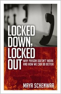bokomslag Locked Down, Locked Out: Why Prison Doesn't Work and How We Can Do Better