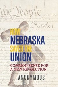 bokomslag How Nebraska Saved the Union