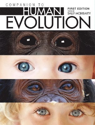 bokomslag Companion to Human Evolution