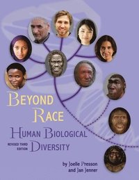 bokomslag Beyond Race