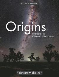 bokomslag Origins