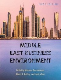 bokomslag Middle East Business Environment