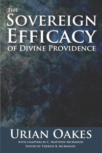 bokomslag The Sovereign Efficacy of Divine Providence
