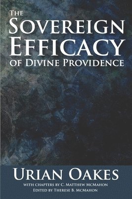 The Sovereign Efficacy of Divine Providence 1