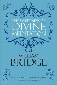 bokomslag Sweetness of Divine Meditation