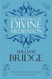 bokomslag The Sweetness of Divine Meditation