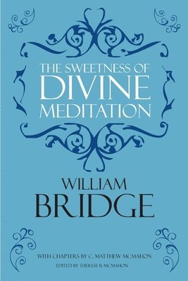 bokomslag Sweetness of Divine Meditation
