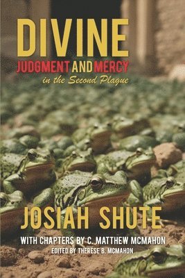 Divine Judgment and Mercy in the Second Plague 1