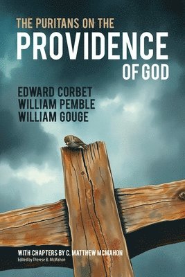 bokomslag The Puritans on the Providence of God