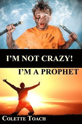 Colette Toach - I'm Not Crazy - I'm a Prophet, Häftad