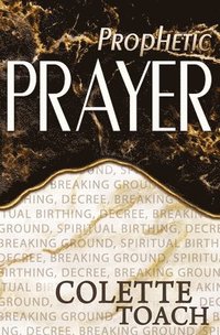 bokomslag Prophetic Prayer: Breaking Ground, Spiritual Birthing, and Decree