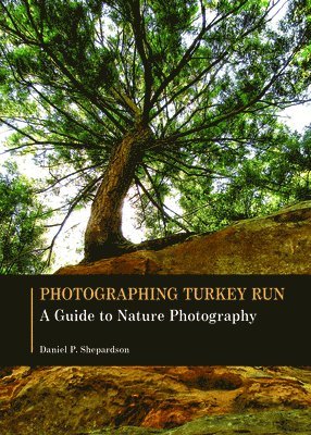 Photographing Turkey Run 1