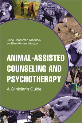 Linda Chassman Craddock, Ellen Kinney Winston, Linda Chassman Craddock, Ellen Kinney Winston - Animal-Assisted Counseling and Psychotherapy, Häftad