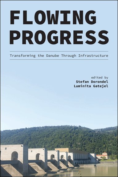 Stefan Dorondel, Luminita Gatejel - Flowing Progress, Inbunden