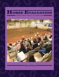 bokomslag Horse Evaluation