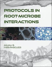 bokomslag Protocols in Root-Microbe Interactions