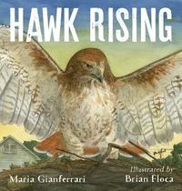 bokomslag Hawk Rising