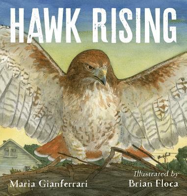 Hawk Rising 1