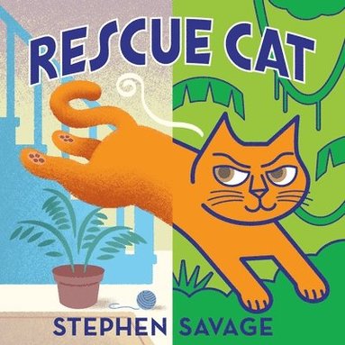 bokomslag Rescue Cat