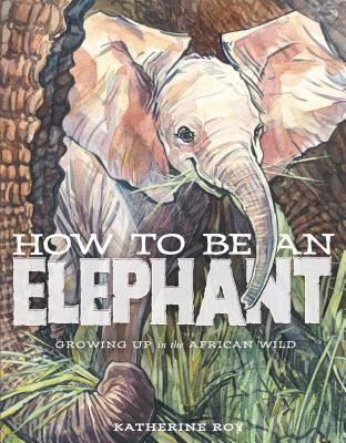 How to be an Elephant 1