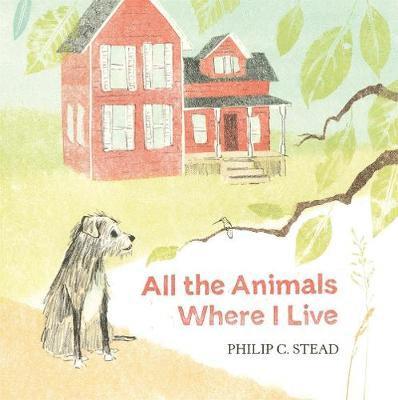 Philip C Stead - Stead, P: All the Animals Where I Live, Inbunden