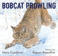 bokomslag Bobcat Prowling