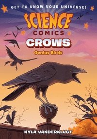 bokomslag Science Comics: Crows: Genius Birds