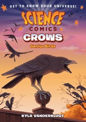 Kyla Vanderklugt - Science Comics: Crows, Häftad