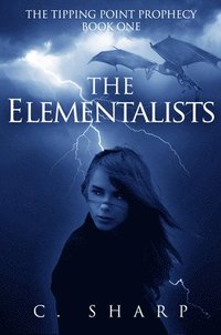 bokomslag The Elementalists