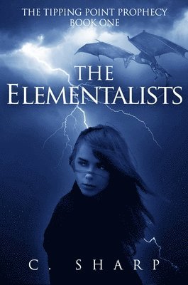 bokomslag Elementalists