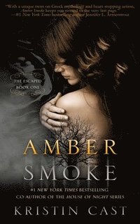 bokomslag Amber Smoke