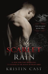 bokomslag Scarlet Rain
