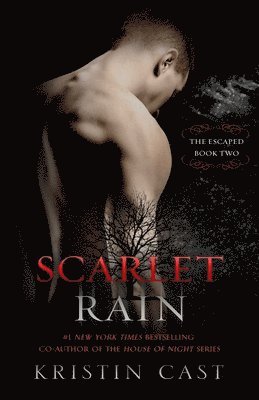 bokomslag Scarlet Rain