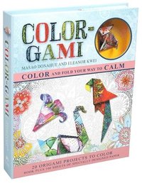 bokomslag Color-Gami