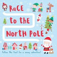 bokomslag Race to the North Pole