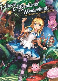 bokomslag Alice's Adventures in Wonderland and Through the Looking Glass (Illustrated Nove l)