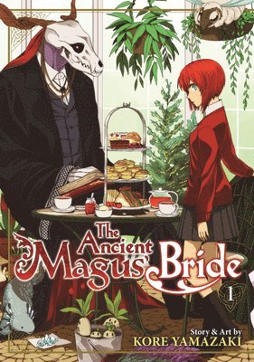 bokomslag The Ancient Magus' Bride Vol. 1