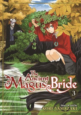 bokomslag The Ancient Magus' Bride Vol. 3