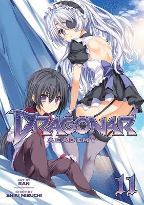 bokomslag Dragonar Academy Vol. 11