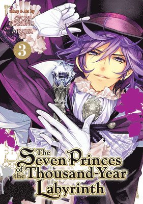bokomslag Seven Princes of the Thousand-Year Labyrinth Vol. 3