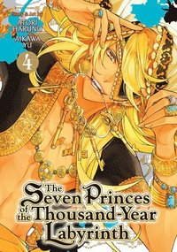 bokomslag The Seven Princes of the Thousand-Year Labyrinth Vol. 4
