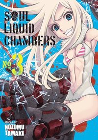 bokomslag Soul Liquid Chambers Vol. 3