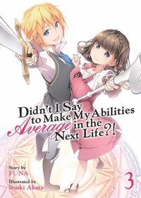bokomslag Didn't I Say to Make My Abilities Average in the Next Life?! (Light Novel) Vol. 3
