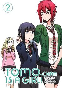 bokomslag Tomo-chan is a Girl! Vol. 2