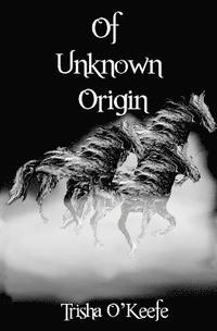 bokomslag Of Unknown Origin