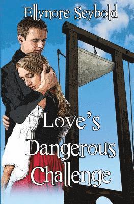 Ellynore Seybold - Love's Dangerous Challenge, Häftad