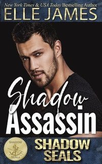 bokomslag Shadow Assassin